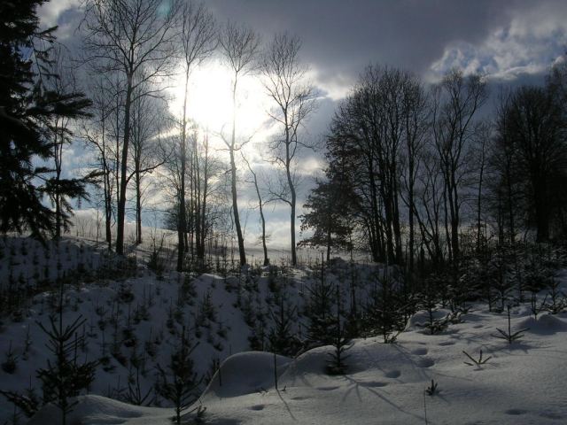 obec